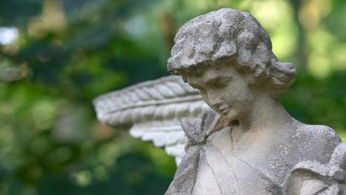 Nahaufnahme einer Engelstatue aus Stein mit Flügeln, im Hintergrund unscharf grüne Blätter.